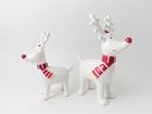 Brand new white reindeer range for 2021